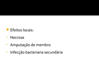  Efeitos locais:
• Necrose
• Amputação de membro
• Infecção bacteriana secundária
 