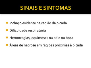  Inchaço evidente na região da picada
 Dificuldade respiratória
 Hemorragias, equimoses na pele ou boca
 Áreas de necrose em regiões próximas à picada
 