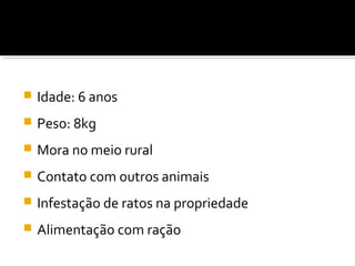  Idade: 6 anos
 Peso: 8kg
 Mora no meio rural
 Contato com outros animais
 Infestação de ratos na propriedade
 Alimentação com ração
 