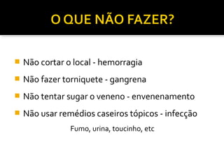  Não cortar o local - hemorragia
 Não fazer torniquete - gangrena
 Não tentar sugar o veneno - envenenamento
 Não usar remédios caseiros tópicos - infecção
Fumo, urina, toucinho, etc
 