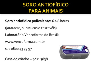 Soro antiofídico polivalente: 6 a 8 horas
(jararacas, surucucus e cascavéis)
Laboratório Vencofarma do Brasil:
www.vencofarma.com.br
sac 0800 43 79 97
Casa do criador – 4011 3838
 