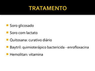  Soro glicosado
 Soro com lactato
 Quitosana: curativo diário
 Baytril: quimioterápico bactericida - enrofloxacina
 Hemolitan: vitamina
 