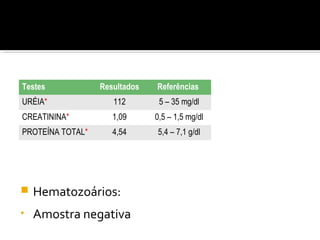  Hematozoários:
• Amostra negativa
Testes Resultados Referências
URÉIA* 112 5 – 35 mg/dl
CREATININA* 1,09 0,5 – 1,5 mg/dl
PROTEÍNA TOTAL* 4,54 5,4 – 7,1 g/dl
 