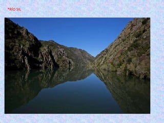 *RÍO SIL

 