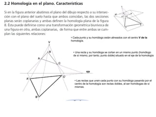• Las rectas que unen cada punto con su homólogo pasando por el
centro de la homología son rectas dobles, al ser homólogas de sí
mismas.
• Cada punto y su homólogo están alineados con el centro V de la
homología.
• Una recta y su homóloga se cortan en un mismo punto (homólogo
de sí mismo, por tanto, punto doble) situado en el eje de la homología
 