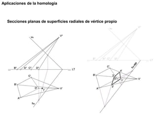 Secciones planas de superficies radiales de vértice propio
Aplicaciones de la homología
 