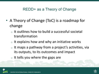 Transforming Redd Lessons Learned And Way Forward Ppt
