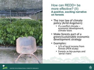 Transforming Redd Lessons Learned And Way Forward Ppt