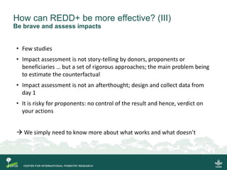 Transforming Redd Lessons Learned And Way Forward Ppt