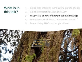 What is in
this talk?
1. Global role of forests in mitigating climate change
2. Global Comparative Study on REDD+
3. REDD+...