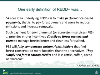 One early definition of REDD+ was…
“A core idea underlying REDD+ is to make performance-based
payments, that is, to pay fo...