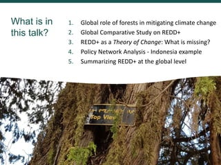 What is in
this talk?
1. Global role of forests in mitigating climate change
2. Global Comparative Study on REDD+
3. REDD+...