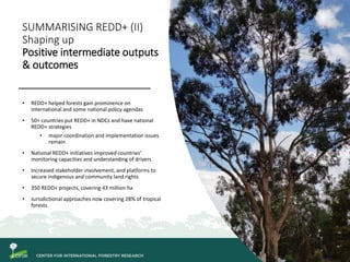 SUMMARISING REDD+ (II)
Shaping up
Positive intermediate outputs
& outcomes
• REDD+ helped forests gain prominence on
inter...