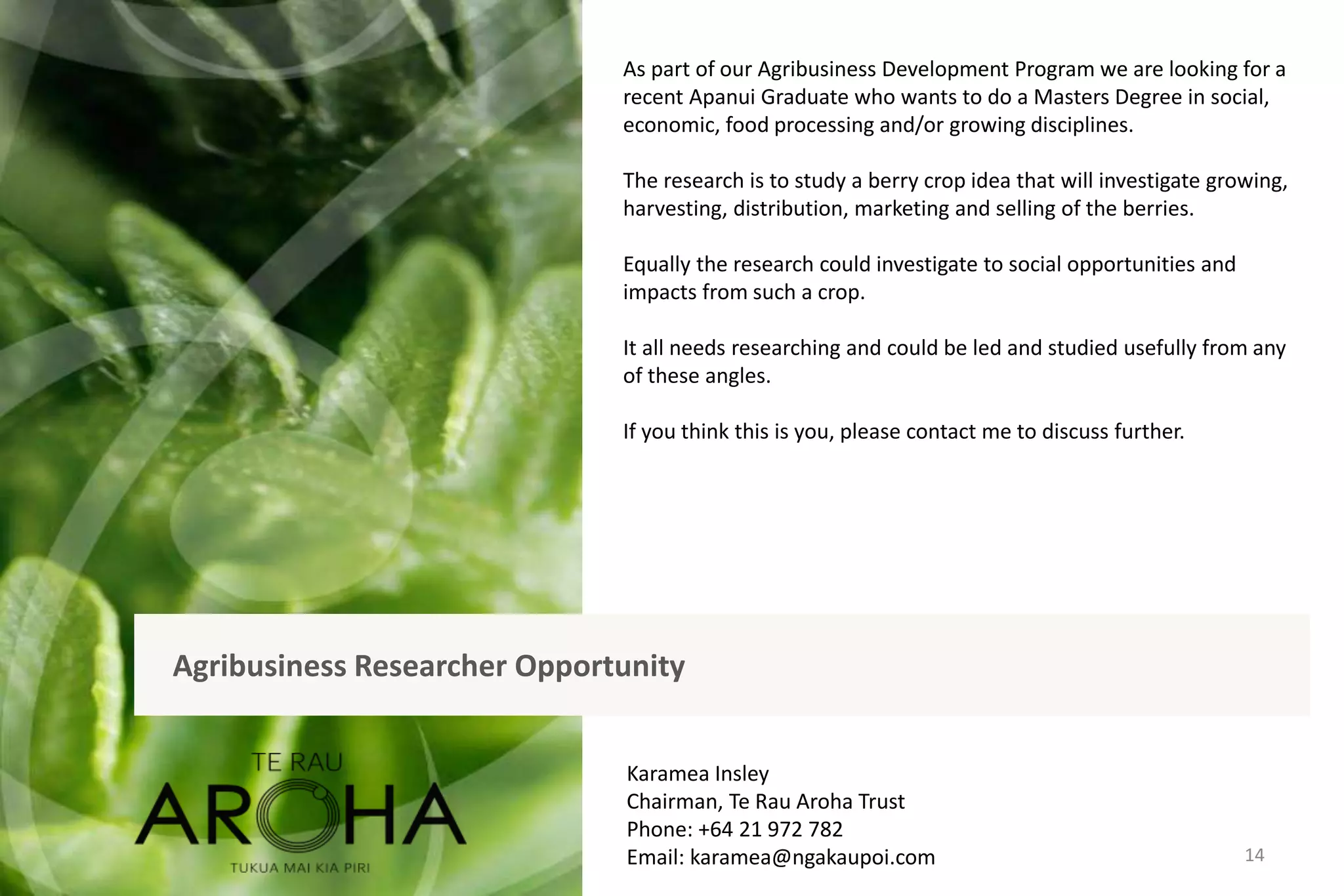 Agribusiness Researcher Opportunity
14
As part of our Agribusiness Development Program we are looking for a
recent Apanui Graduate who wants to do a Masters Degree in social,
economic, food processing and/or growing disciplines.
The research is to study a berry crop idea that will investigate growing,
harvesting, distribution, marketing and selling of the berries.
Equally the research could investigate to social opportunities and
impacts from such a crop.
It all needs researching and could be led and studied usefully from any
of these angles.
If you think this is you, please contact me to discuss further.
Karamea Insley
Chairman, Te Rau Aroha Trust
Phone: +64 21 972 782
Email: karamea@ngakaupoi.com
 