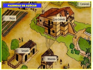 FAZENDAS DE AÇÚCAR
 
