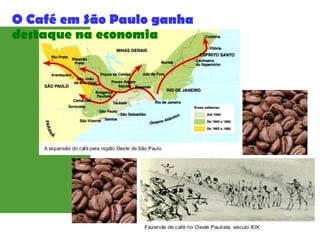 O Café em São Paulo ganha
destaque na economia
 