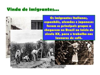 Vinda de imigrantes...
Os imigrantes italianos,
espanhóis, alemães e japoneses
foram os principais grupos a
chegarem no Brasil no início do
século XX, para o trabalho nas
lavouras de café.
 