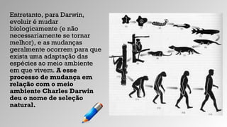 Entretanto, para Darwin,
evoluir é mudar
biologicamente (e não
necessariamente se tornar
melhor), e as mudanças
geralmente ocorrem para que
exista uma adaptação das
espécies ao meio ambiente
em que vivem. A esse
processo de mudança em
relação com o meio
ambiente Charles Darwin
deu o nome de seleção
natural.
 