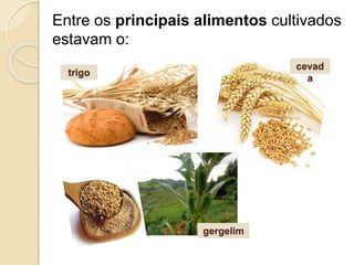 Entre os principais alimentos cultivados
estavam o:
trigo
cevad
a
gergelim
 