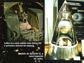 Modelo do Sputnik II, a
nave espacial
de Laika.
Laika era uma cadela sem dono: foi
o primeiro animal do espaço.
 