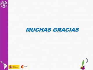 CONSULTA REGIONAL SOBRE POLITICAS EN SEMILLAS Y AGRICULTURA FAMILIAR