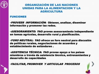 CONSULTA REGIONAL SOBRE POLITICAS EN SEMILLAS Y AGRICULTURA FAMILIAR