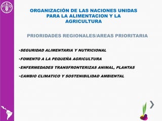 CONSULTA REGIONAL SOBRE POLITICAS EN SEMILLAS Y AGRICULTURA FAMILIAR