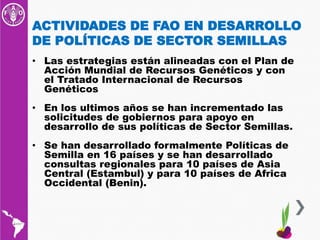 CONSULTA REGIONAL SOBRE POLITICAS EN SEMILLAS Y AGRICULTURA FAMILIAR