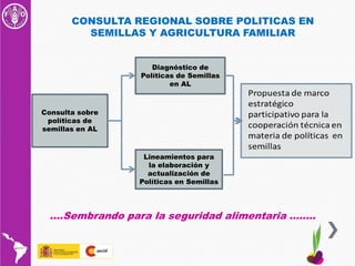 CONSULTA REGIONAL SOBRE POLITICAS EN SEMILLAS Y AGRICULTURA FAMILIAR