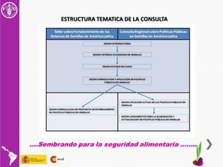 CONSULTA REGIONAL SOBRE POLITICAS EN SEMILLAS Y AGRICULTURA FAMILIAR