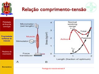 Fisiologia do músculo estriado II
Relação comprimento-tensão
Propriedades
biofísicas do
músculo
Modulação
da força de
contração
Mecânica do
movimento
Biomecânica
 