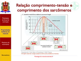 Fisiologia do músculo estriado II
Relação comprimento-tensão e
comprimento dos sarcômeros
Propriedades
biofísicas do
músculo
Modulação
da força de
contração
Mecânica do
movimento
Biomecânica
 