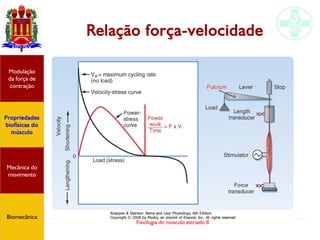 Fisiologia do músculo estriado II
Relação força-velocidade
Propriedades
biofísicas do
músculo
Modulação
da força de
contração
Mecânica do
movimento
Biomecânica
 