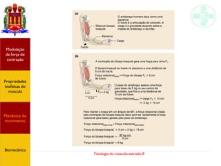 Fisiologia do músculo estriado II
Propriedades
biofísicas do
músculo
Modulação
da força de
contração
Mecânica do
movimento
Biomecânica
 