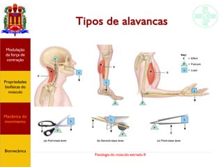 Fisiologia do músculo estriado II
Tipos de alavancas
Propriedades
biofísicas do
músculo
Modulação
da força de
contração
Mecânica do
movimento
Biomecânica
 