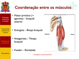 Fisiologia do músculo estriado II
Coordenação entre os músculos
●
Motor primário (=
agonista) – braquial
anterior
●
Sinergista – Bíceps braquial
●
Antagonista – Tríceps
braquial
●
Fixador – Rombóide
Propriedades
biofísicas do
músculo
Modulação
da força de
contração
Mecânica do
movimento
Biomecânica
 