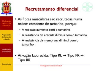 Fisiologia do músculo estriado II
Recrutamento diferencial
● As fibras musculares são recrutadas numa
ordem crescente de tamanho, porque
– A reobase aumenta com o tamanho
– A resistência de entrada diminui com o tamanho
– A resistência da membrana diminui com o
tamanho
● Ativação favorecida: Tipo RL Tipo FR→ →
Tipo RR
Propriedades
biofísicas do
músculo
Modulação
da força de
contração
Mecânica do
movimento
Biomecânica
 