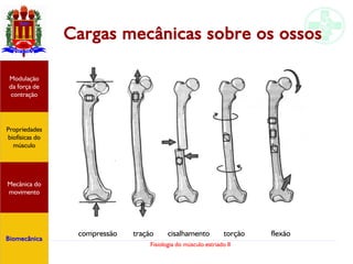 Fisiologia do músculo estriado II
Cargas mecânicas sobre os ossos
compressão tração cisalhamento torção flexão
Propriedades
biofísicas do
músculo
Modulação
da força de
contração
Mecânica do
movimento
Biomecânica
 