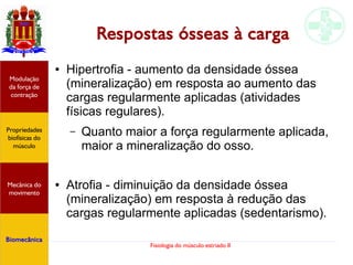 Fisiologia do músculo estriado II
Respostas ósseas à carga
● Hipertrofia - aumento da densidade óssea
(mineralização) em resposta ao aumento das
cargas regularmente aplicadas (atividades
físicas regulares).
– Quanto maior a força regularmente aplicada,
maior a mineralização do osso.
● Atrofia - diminuição da densidade óssea
(mineralização) em resposta à redução das
cargas regularmente aplicadas (sedentarismo).
Propriedades
biofísicas do
músculo
Modulação
da força de
contração
Mecânica do
movimento
Biomecânica
 