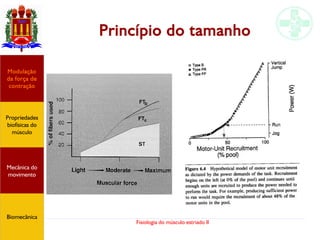 Fisiologia do músculo estriado II
Princípio do tamanho
Propriedades
biofísicas do
músculo
Modulação
da força de
contração
Mecânica do
movimento
Biomecânica
 