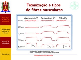 Fisiologia do músculo estriado II
Tetanização e tipos
de fibras musculares
Propriedades
biofísicas do
músculo
Modulação
da força de
contração
Mecânica do
movimento
Biomecânica
Gastrocnêmio (F) Gastrocnêmio (S) Sóleo (S)
 
