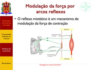Fisiologia do músculo estriado II
Modulação da força por
arcos reflexos
● O reflexo miotático é um mecanismo de
modulação da força de contração
Propriedades
biofísicas do
músculo
Modulação
da força de
contração
Mecânica do
movimento
Biomecânica
 