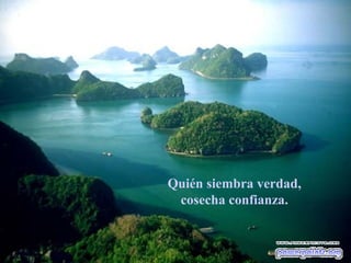 Quién siembra verdad,
cosecha confianza.

 