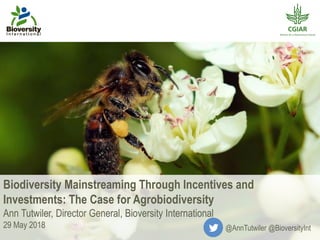 Biodiversity Mainstreaming Through Incentives and
Investments: The Case for Agrobiodiversity
Ann Tutwiler, Director General, Bioversity International
29 May 2018 @AnnTutwiler @BioversityInt
 