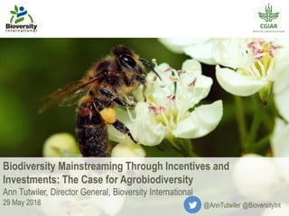 Biodiversity Mainstreaming Through Incentives and
Investments: The Case for Agrobiodiversity
Ann Tutwiler, Director Genera...