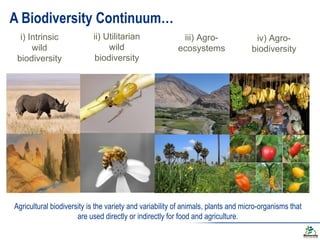 i) Intrinsic
wild
biodiversity
ii) Utilitarian
wild
biodiversity
iii) Agro-
ecosystems
iv) Agro-
biodiversity
A Biodiversi...