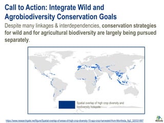 Call to Action: Integrate Wild and
Agrobiodiversity Conservation Goals
Whooping Crane – An endangered species
Yellow Warbl...