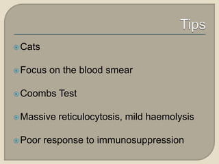 Curated visual reference: Fresh Look at Sash Haemolytic Anemia By Dr Sara M Cowan