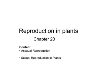 Reproduction in plants Chapter 20 ,[object Object],[object Object],[object Object]