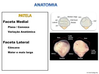 PATELA
Faceta Medial
Plana / Convexa
Variação Anatômica
Faceta Lateral
Côncava
Maior e mais larga
Dr David Sadigursky
 